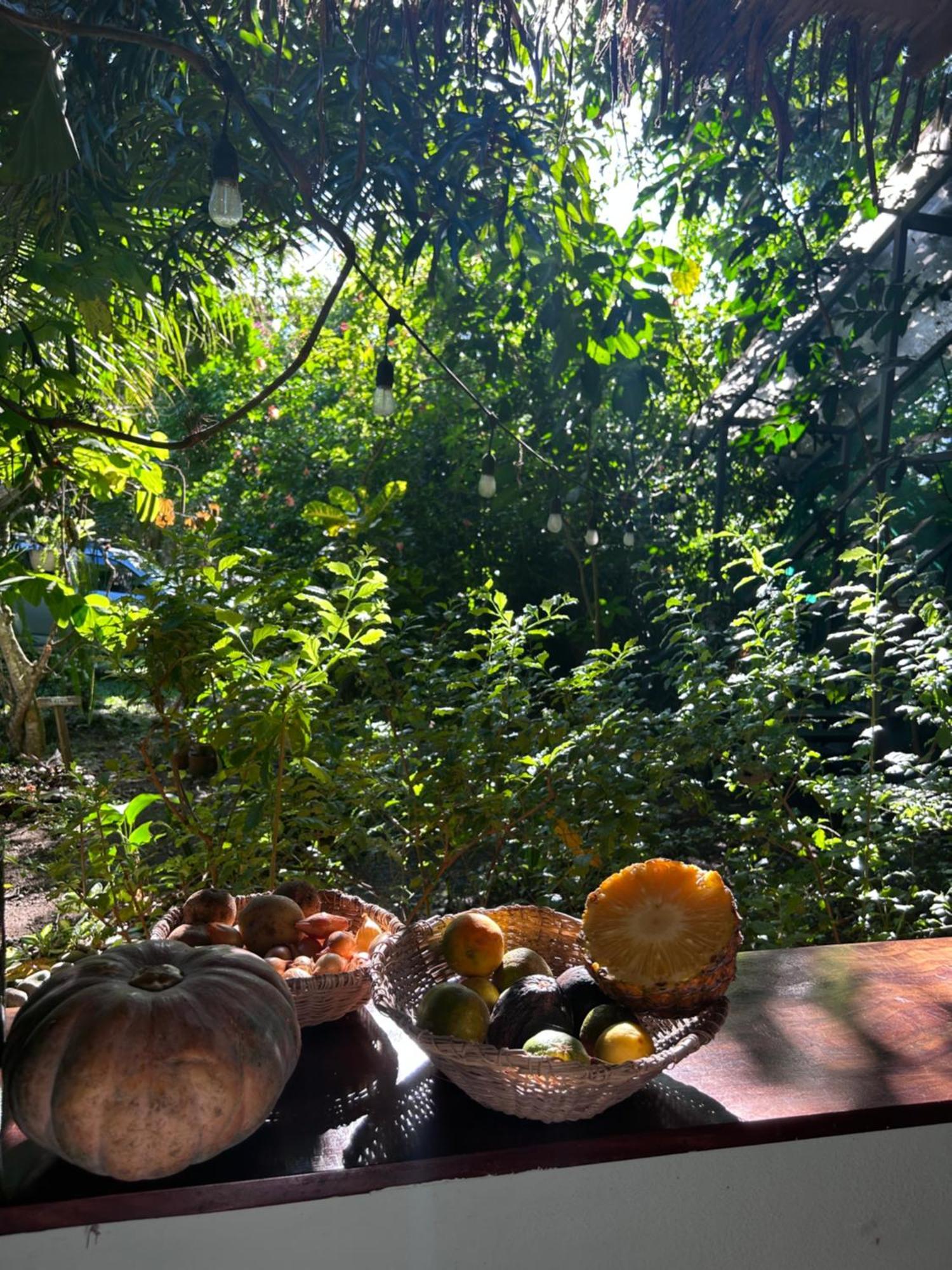 卡维塔 Organico Punta Riel酒店 外观 照片