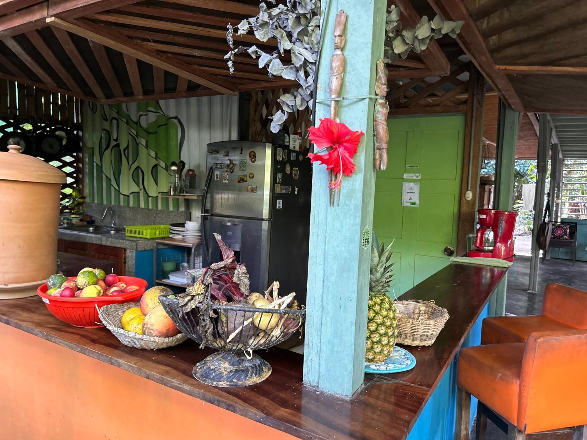 卡维塔 Organico Punta Riel酒店 外观 照片