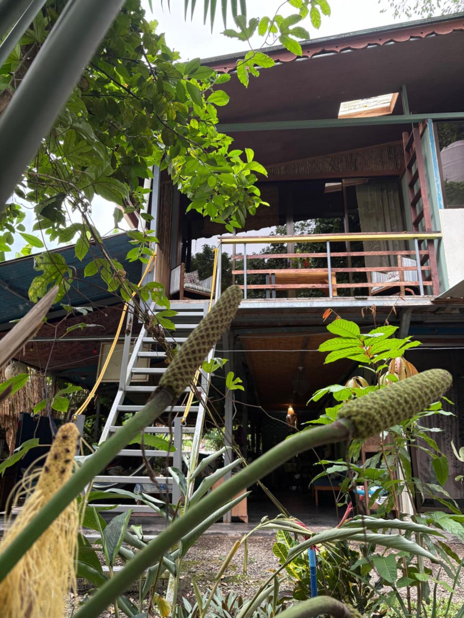 卡维塔 Organico Punta Riel酒店 外观 照片