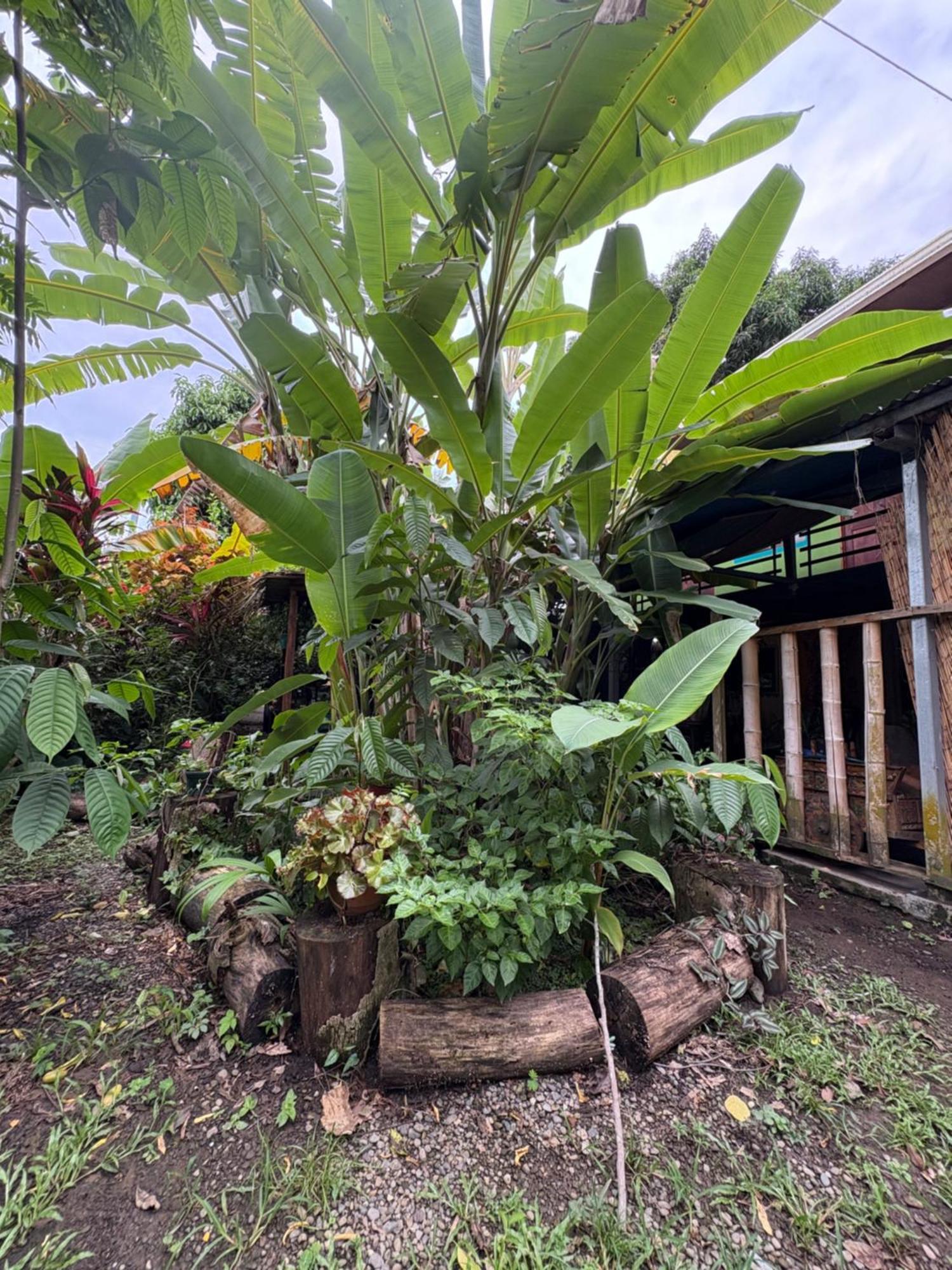卡维塔 Organico Punta Riel酒店 外观 照片
