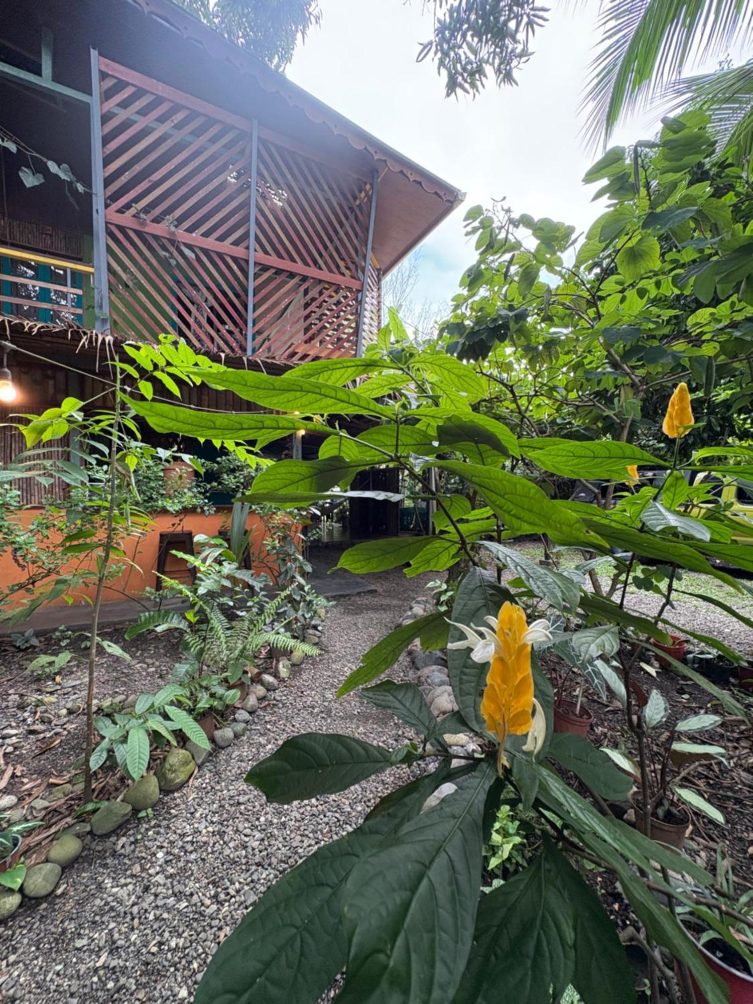 卡维塔 Organico Punta Riel酒店 外观 照片